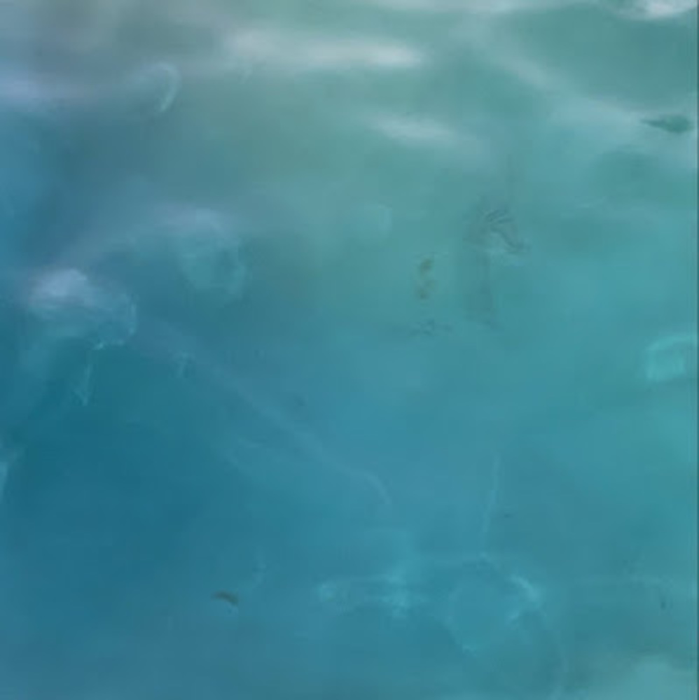 Meet your Posher, Ciggies